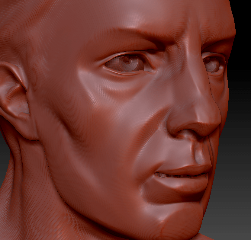 ZBrush base head mesh with some sculpted in details